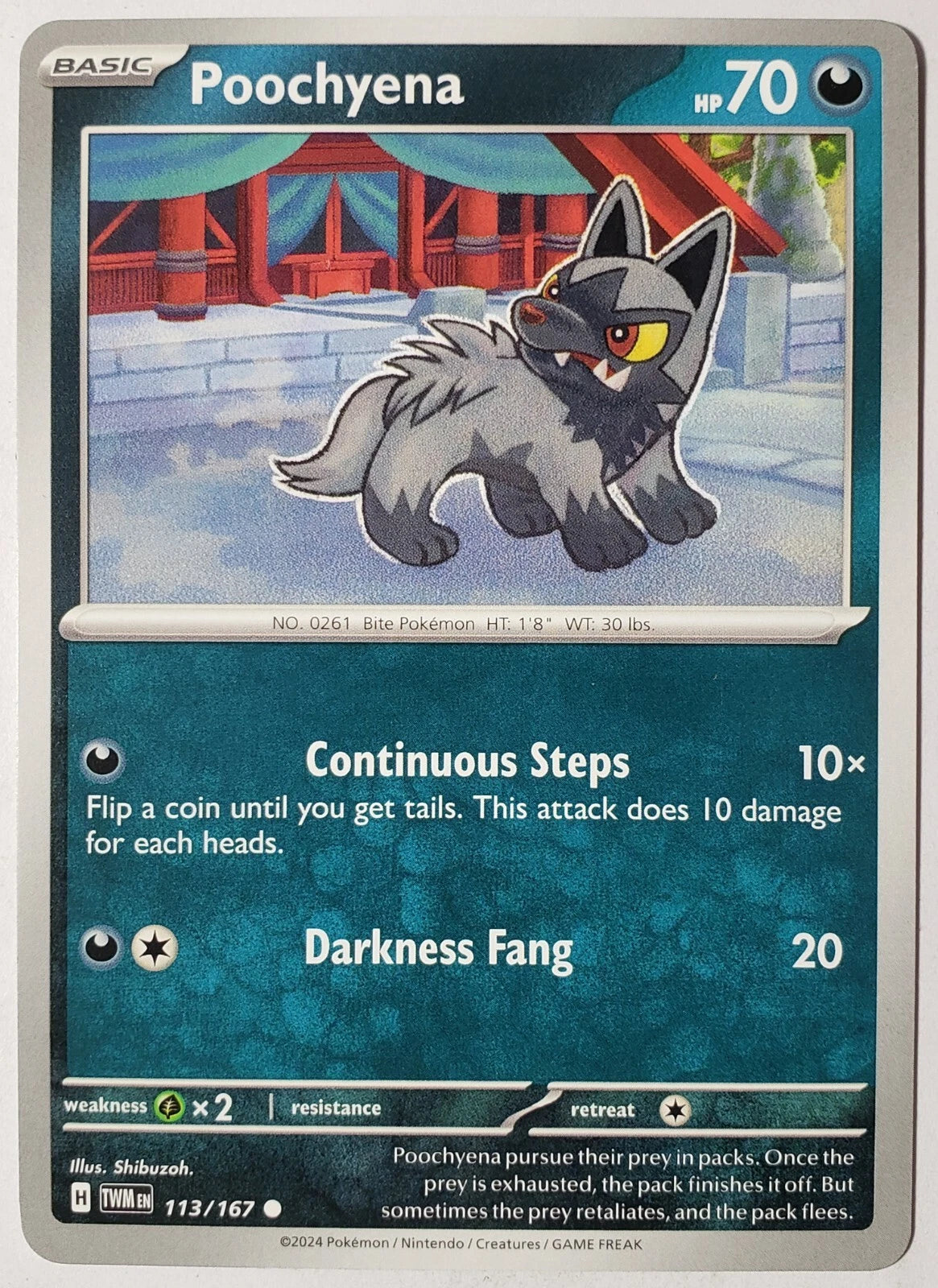 Poochyena - 113/167 - Common