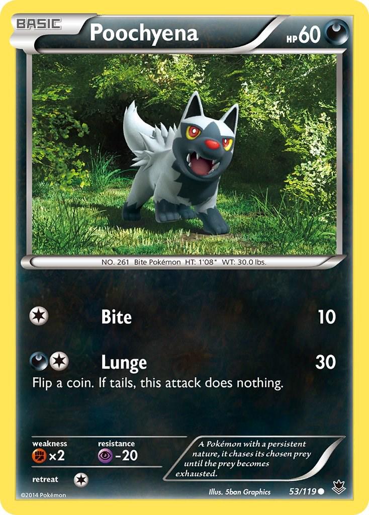 Poochyena - 53/119 - common
