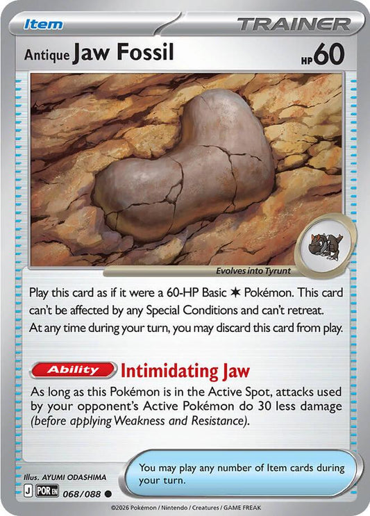Antique Jaw Fossil - 068/088 - Common