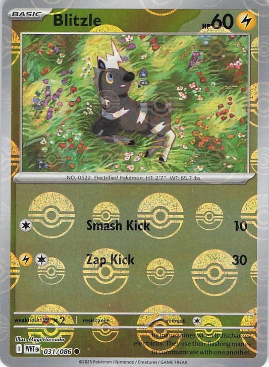 Blitzle - 031/086 - Pokeball holo