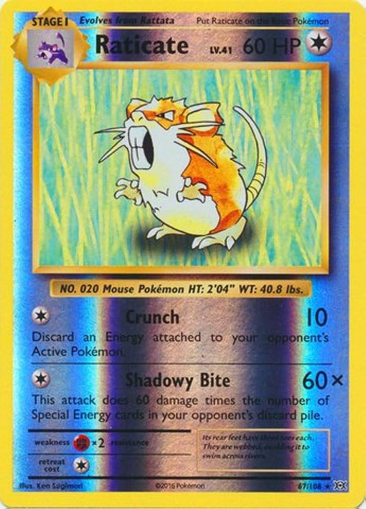 Raticate - 67/108 - Rare Reverse Holo