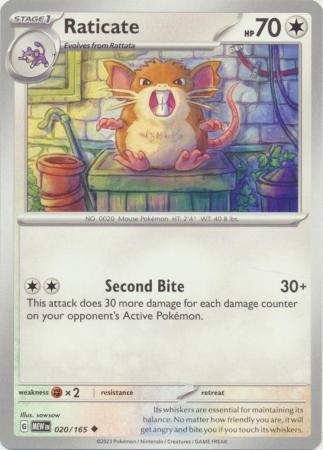 Raticate - 020/165 - Uncommon - Sowsow