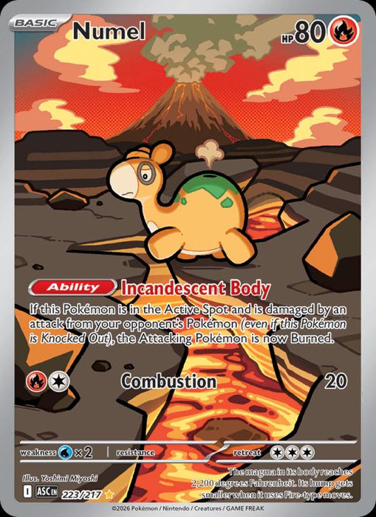 Numel - 223/217 - Illustration Rare