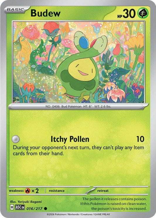 Budew - 016/217 - Common