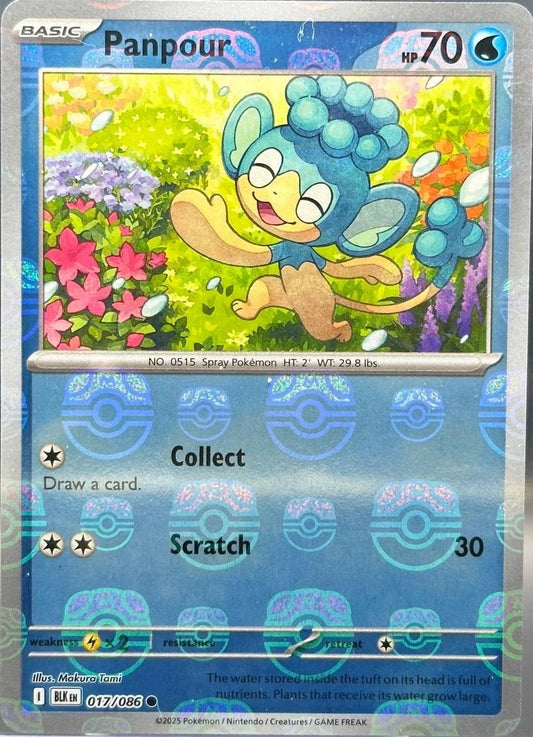 Panpour - 017/086 - Masterball Holo