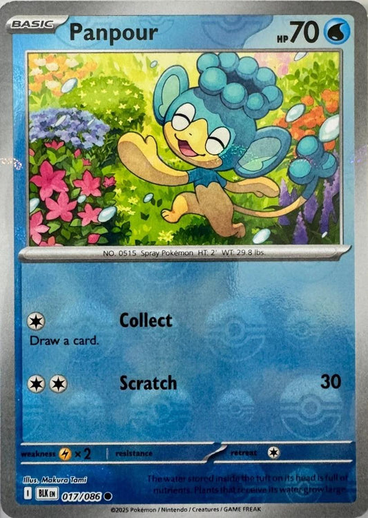 Panpour - 017/086 - Pokeball Holo