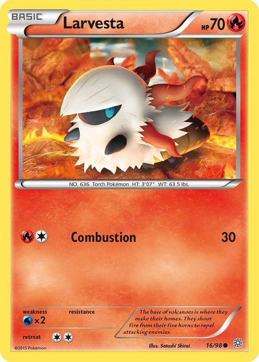 Larvesta - 16/98 - Common