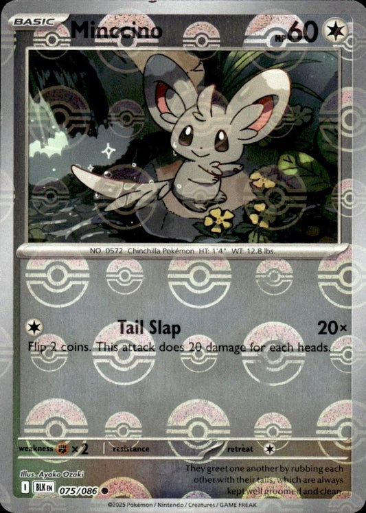 Minccino - 075/086 - Pokeball Holo